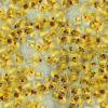 StavRas Aquatic Solutions - fish feeds - algae - Thalassiosira P Frozen Algae - TP 1800 algae