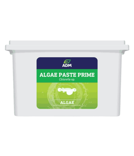 StavRas Aquatic Solutions - feeds - microalgae-Fresh algae paste-ALGAE PASTE PRIME
