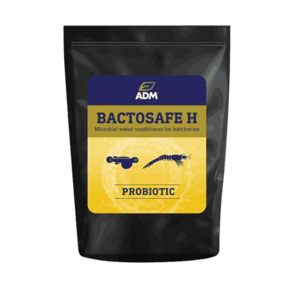StavRas Aquatic Solutions - feeds - probiotics and water conditioners - bactosafe H
