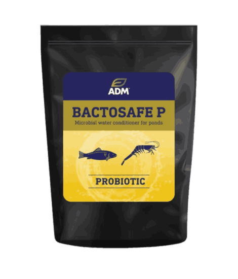 StavRas Aquatic Solutions - feeds - probiotics and water conditioners - bactosafe P
