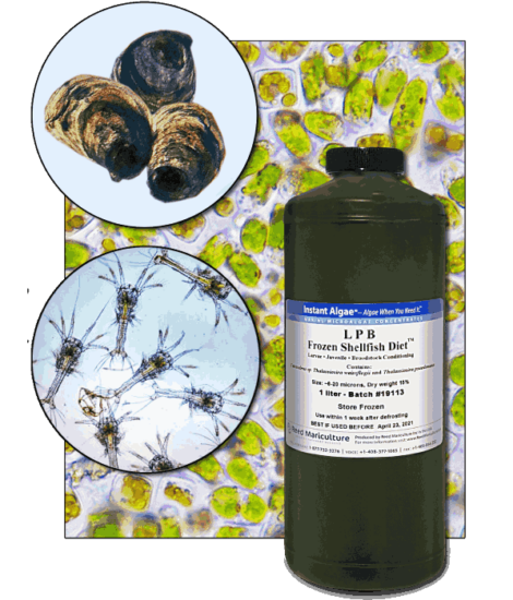 Stavras Aquatic Solutions Products Feeds Microalgae Frozen algae paste-LPB Frozen Shellfish Diet