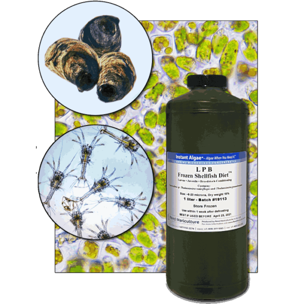 Stavras Aquatic Solutions Products Feeds Microalgae Frozen algae paste-LPB Frozen Shellfish Diet