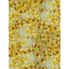 StavRas Aquatic Solutions - fish feeds - algae - Thalassiosira P Frozen Algae - TP 1800 algae