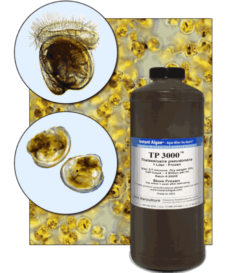 StavRas Aquatic Solutions - fish feeds - algae - Thalassiosira P Frozen Algae - TP 1800 algae
