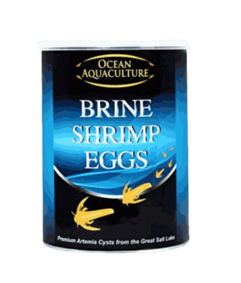 StavRas Aquatic Solutions - feeds - zooplankton - artemia - brine shrimp eggs