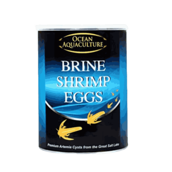 StavRas Aquatic Solutions - feeds - zooplankton - artemia - brine shrimp eggs