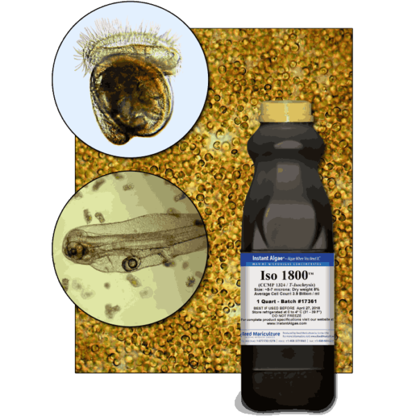 StavRas Aquatic Solutions - shrimp feeds - live food enrichments for aquaculture