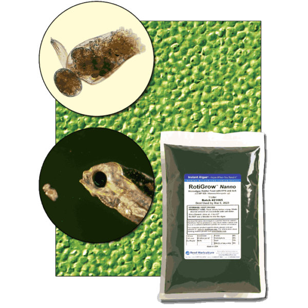 StavRas Aquatic Solutions - fish feeds - algae - frozen algae paste - Rotigrow Nanno