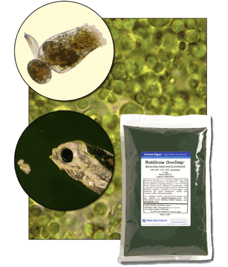 StavRas Aquatic Solutions - fish feeds - algae - frozen algae paste - Rotigrow Onestep