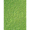 StavRas Aquatic Solutions - fish feeds - algae - frozen algae paste - Rotigreen Nanno