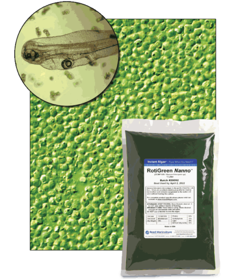 StavRas Aquatic Solutions - fish feeds - algae - frozen algae paste - Rotigreen Nanno