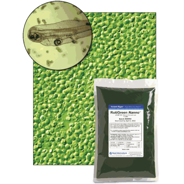 StavRas Aquatic Solutions - fish feeds - algae - frozen algae paste - Rotigreen Nanno
