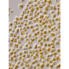 StavRas Aquatic Solutions - fish feeds - algae-Products Thalassiosira W Algae – TW 2400