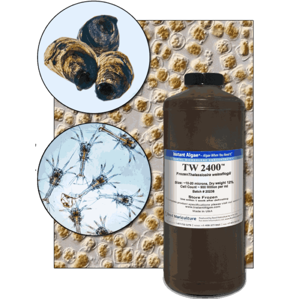 StavRas Aquatic Solutions - fish feeds - algae-Products Thalassiosira W Algae – TW 2400