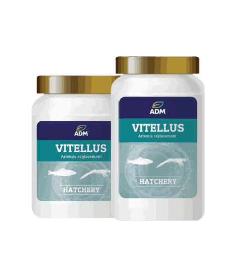 StavRas Aquatic Solutions - feeds - zooplankton - artemia - vitellus