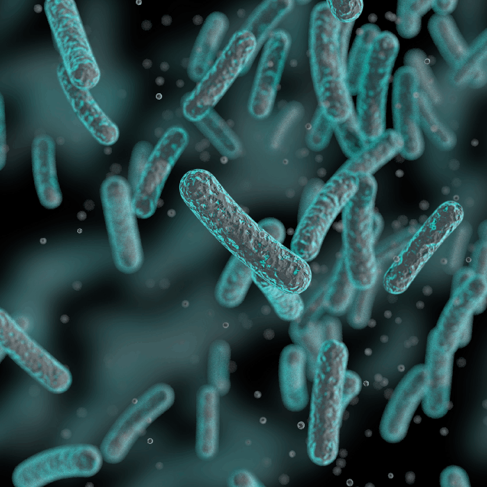 StavRas Aquatic Solutions -PROBIOTIC & WATER CONDITIONERS MAIN PICTURE